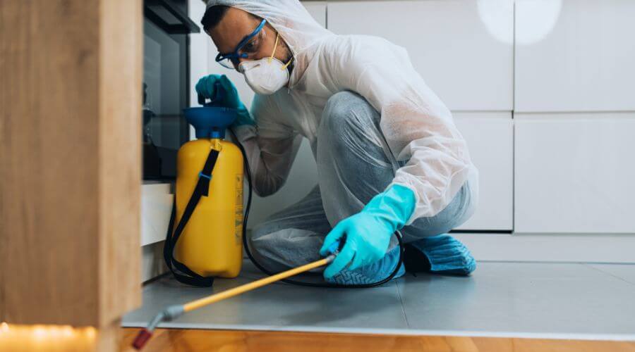 Professional pest control services in Aubrey